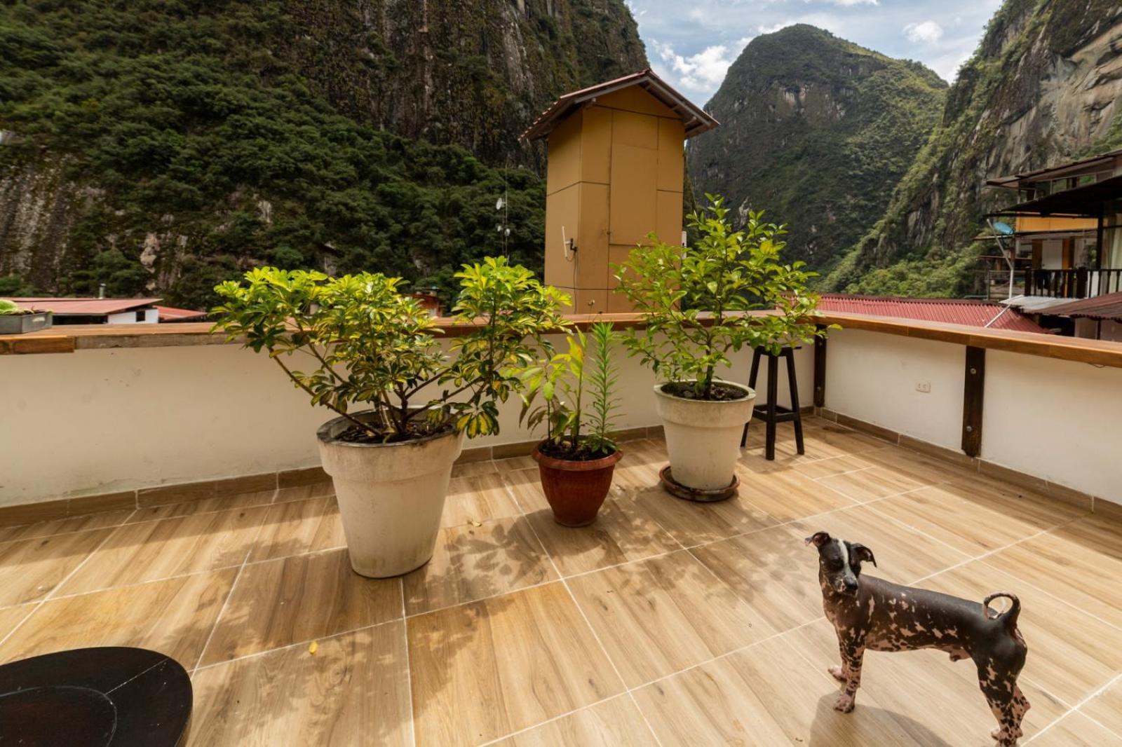 Gringo Bill'S Boutique Hotel Machupicchu Luaran gambar